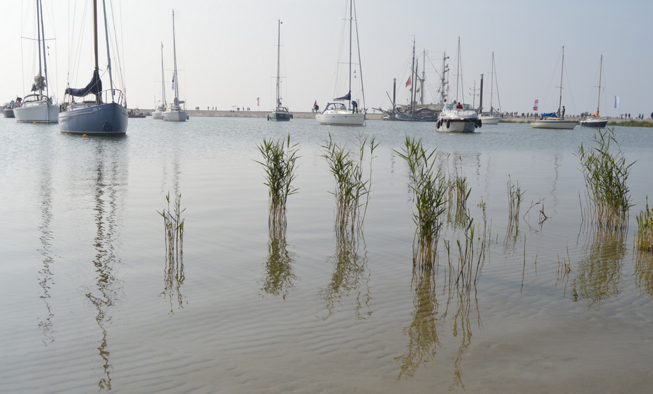 MarkerWadden574