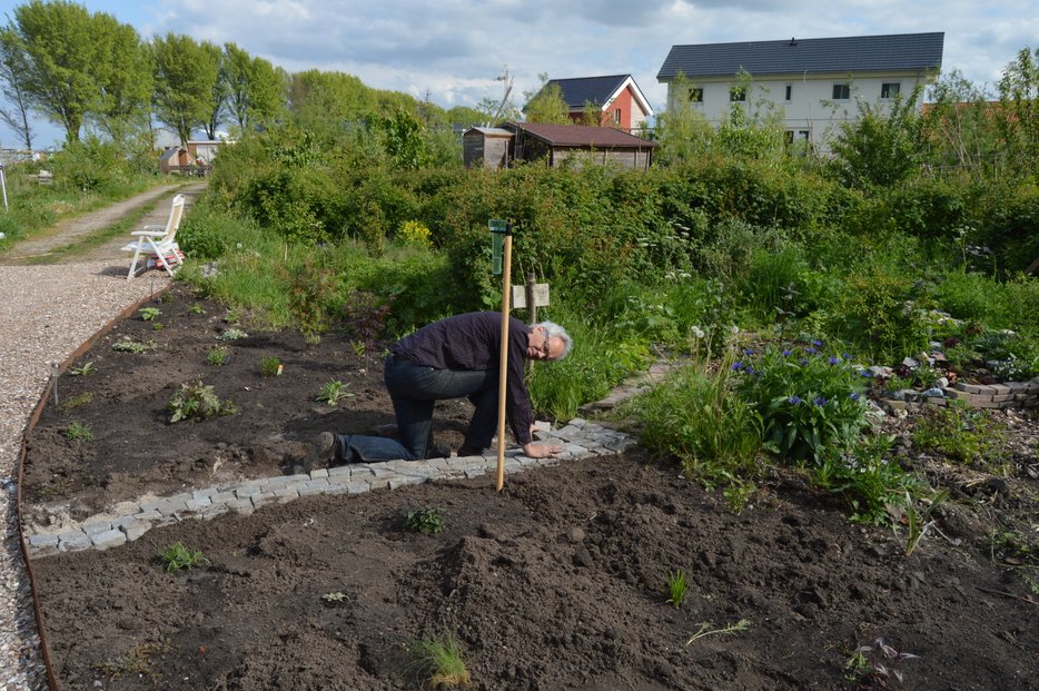 2019 pad in de voortuin10