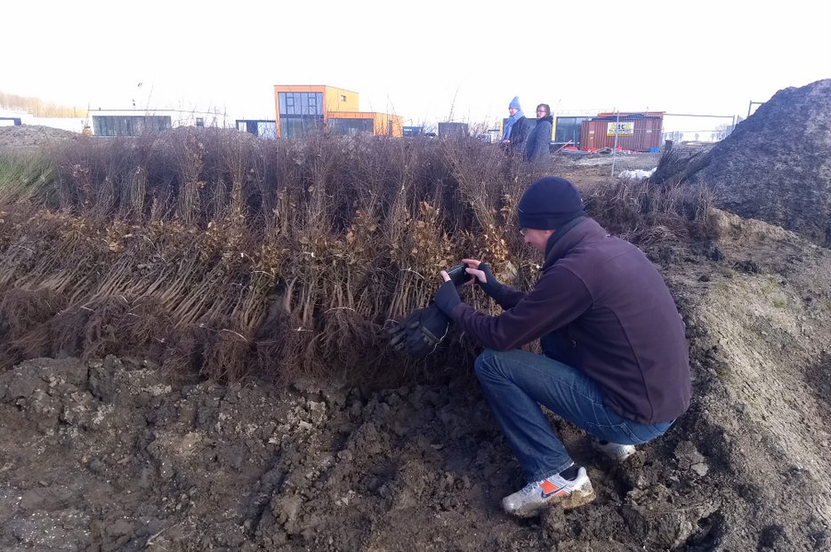 Boomplantdag23 403